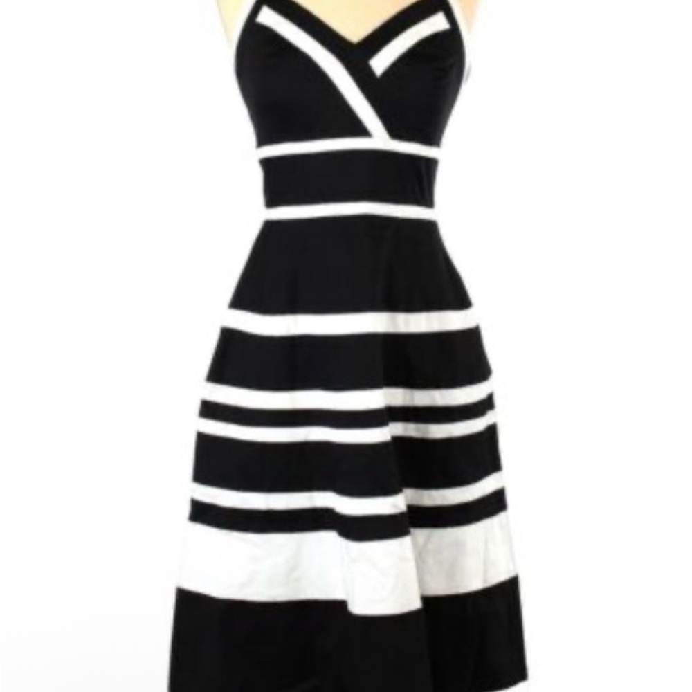 White House Black Market Black and White Fit and Flare Dress